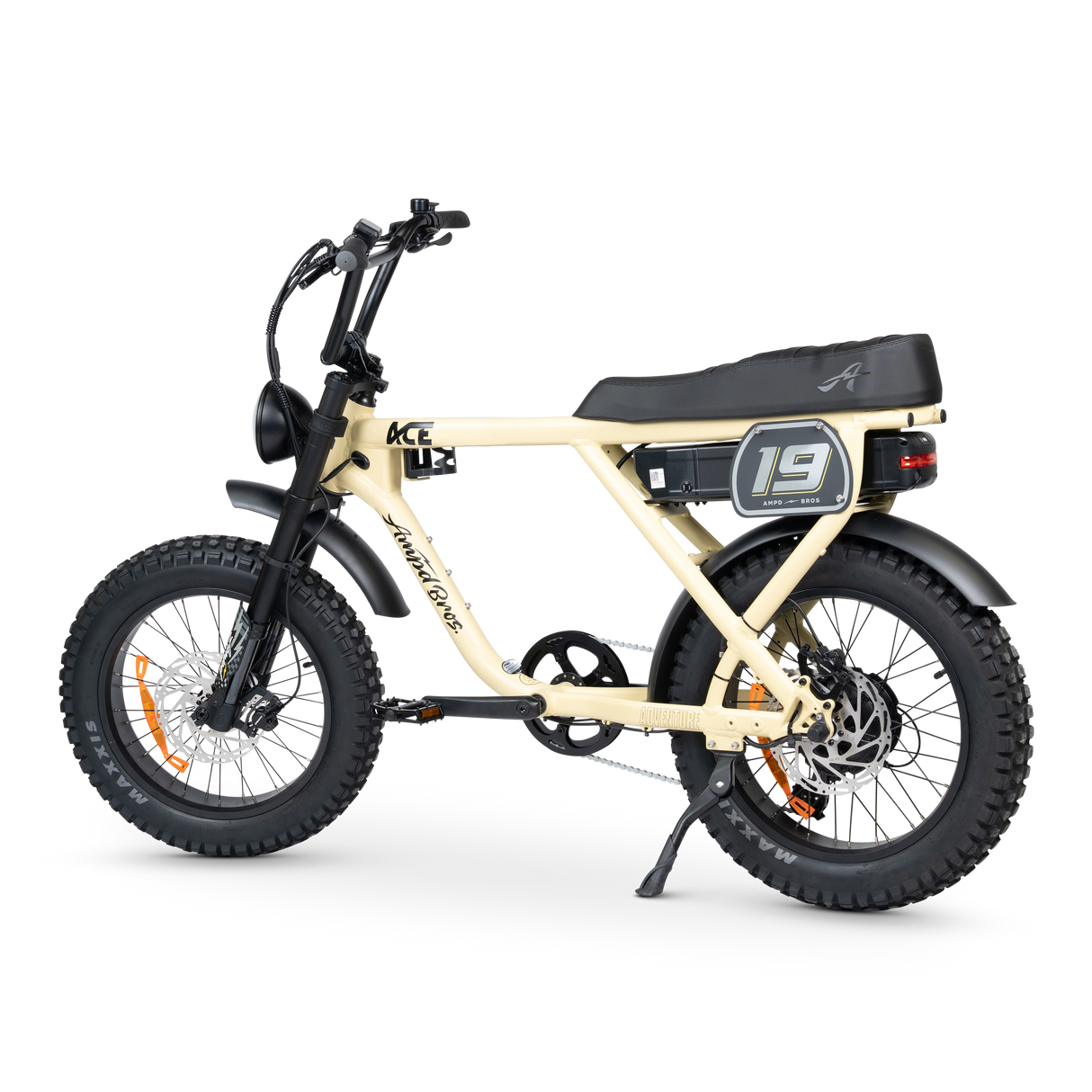 ACE-X Adventure Electric Bike