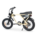 ACE-X Adventure Electric Bike