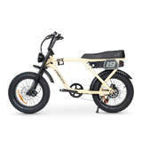 ACE-X Adventure Electric Bike