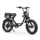 ACE Adventure Electric Bike