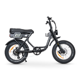ACE-S Adventure Electric Bike