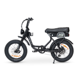 ACE-S Adventure Electric Bike