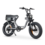 ACE-S Adventure Electric Bike