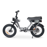 ACE Adventure Electric Bike