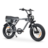 ACE-X Adventure Electric Bike