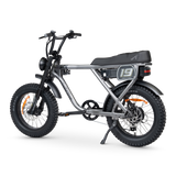 ACE-X Adventure Electric Bike