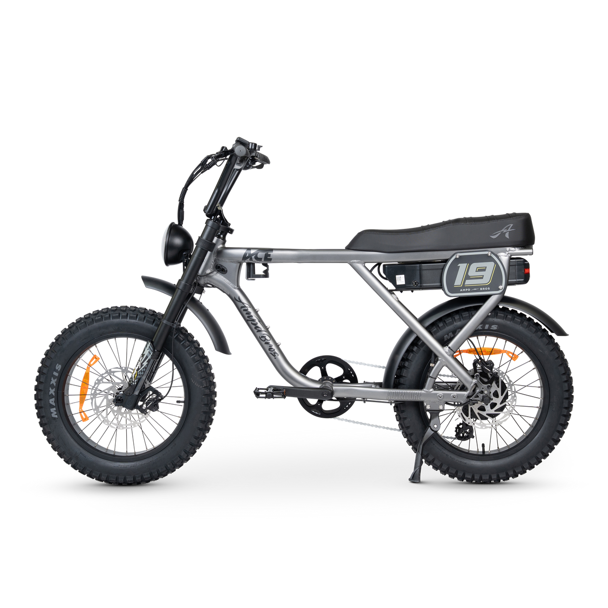 ACE-X Adventure Electric Bike