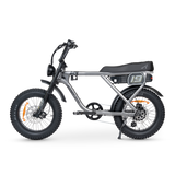 ACE-X Adventure Electric Bike