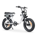 ACE-S Adventure Electric Bike