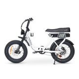 ACE-S Adventure Electric Bike