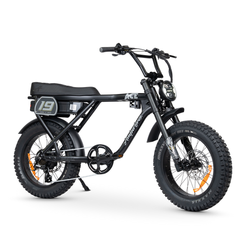 ACE-X Adventure Electric Bike