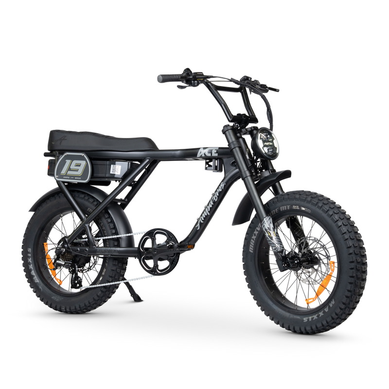 ACE Adventure Electric Bike