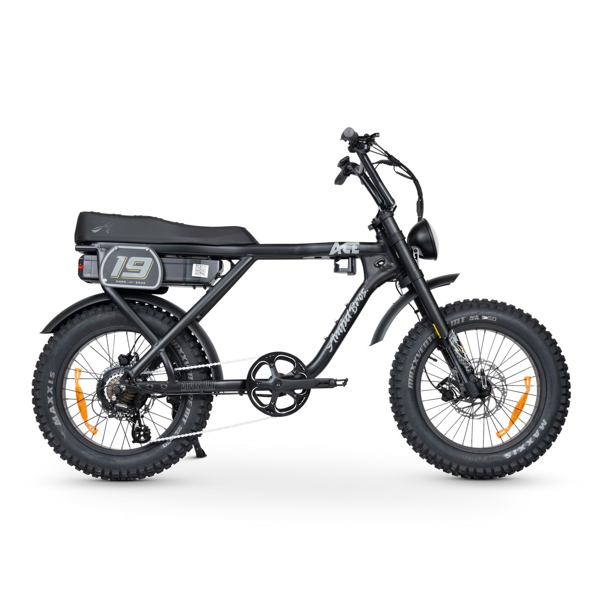 ACE-X Adventure Electric Bike