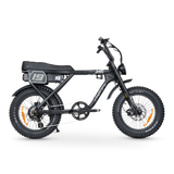 ACE-X Adventure Electric Bike