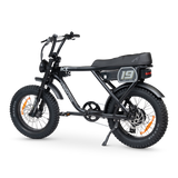 ACE-X Adventure Electric Bike