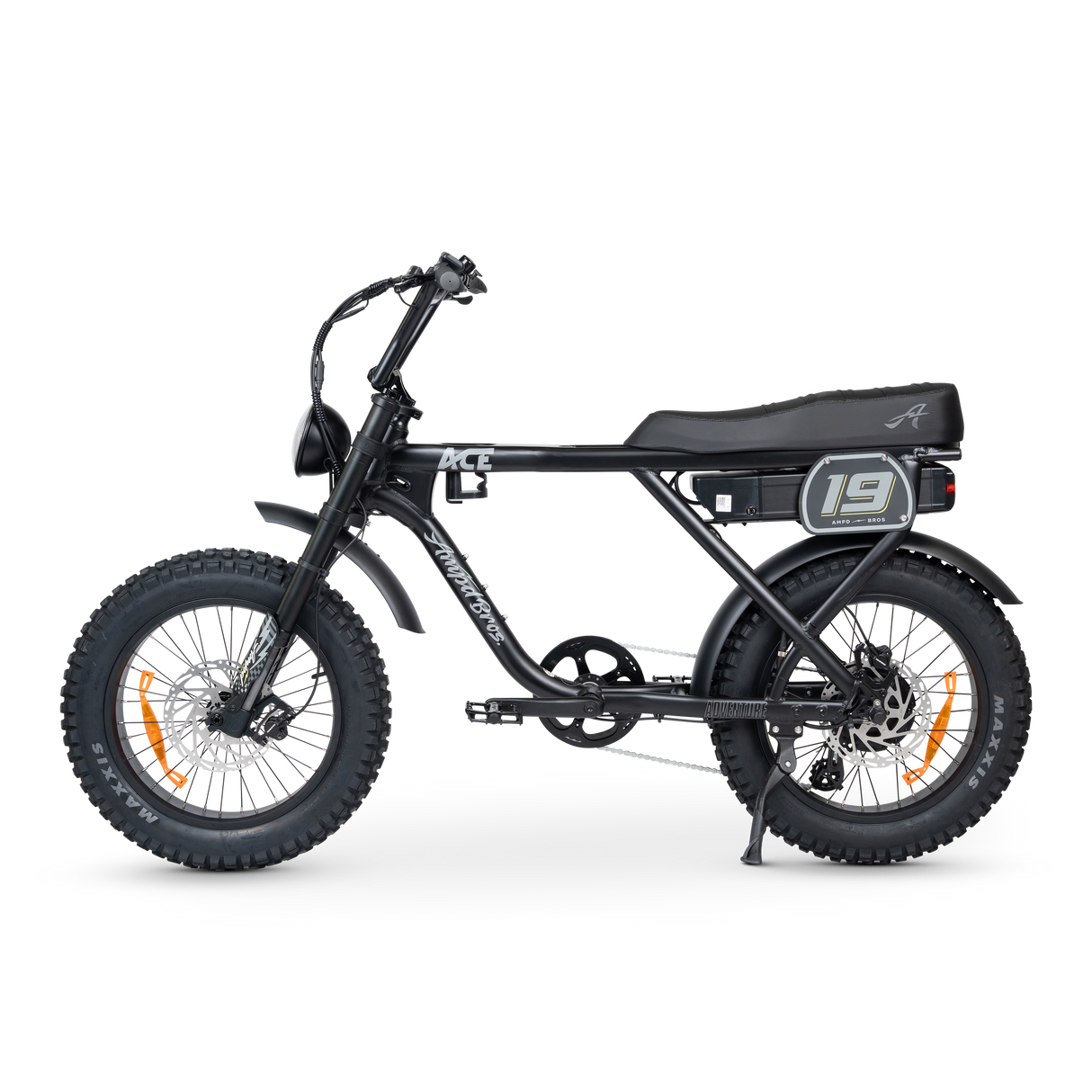 ACE-X Adventure Electric Bike