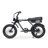 ACE-X Adventure Electric Bike