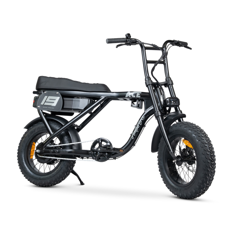 ACE Mini Electric Bike
