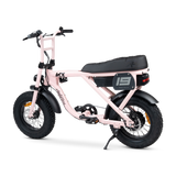 ACE-X Mini S5 Electric Bike