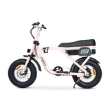 ACE-X Mini S5 Electric Bike