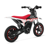 WARRIOR KIDS SX-E250 Electric Bike