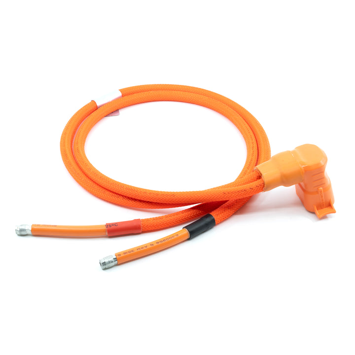 Storm Bee Battery Terminal Wiring Harness