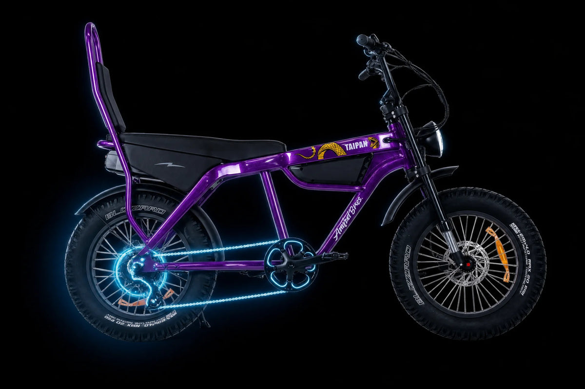 Ampd Bros e-bike