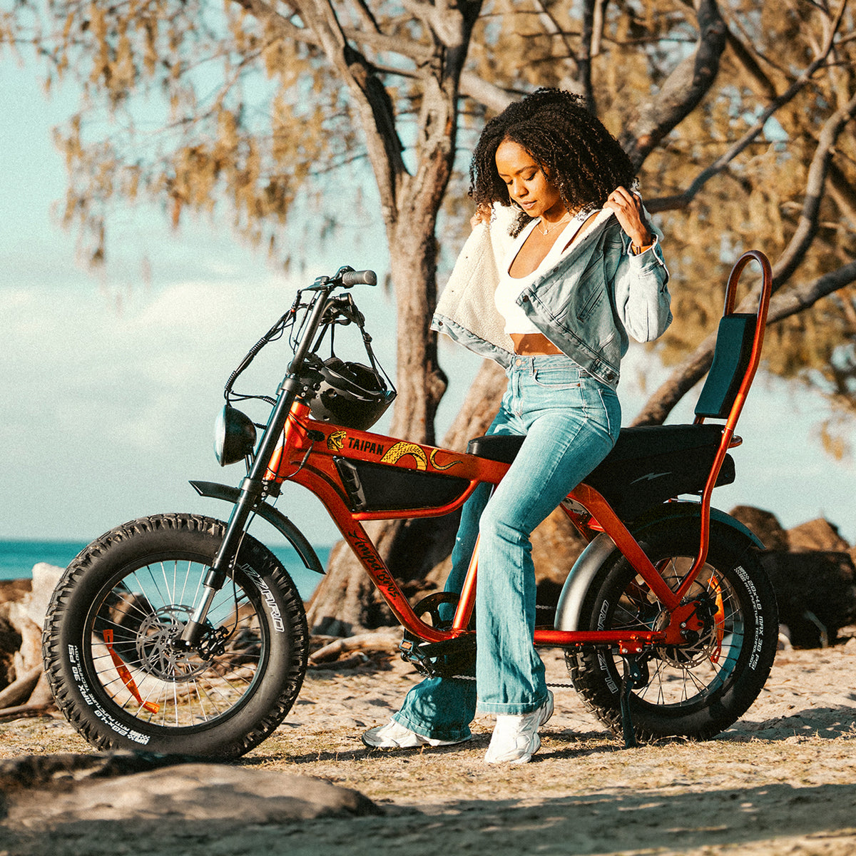 Taipan Electric Bike