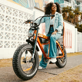 Taipan Electric Bike