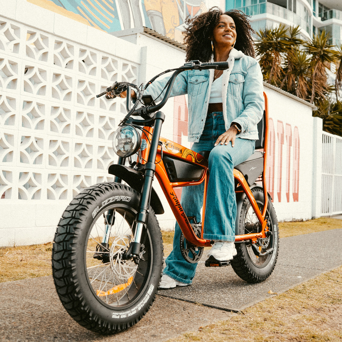 Electric Bikes
