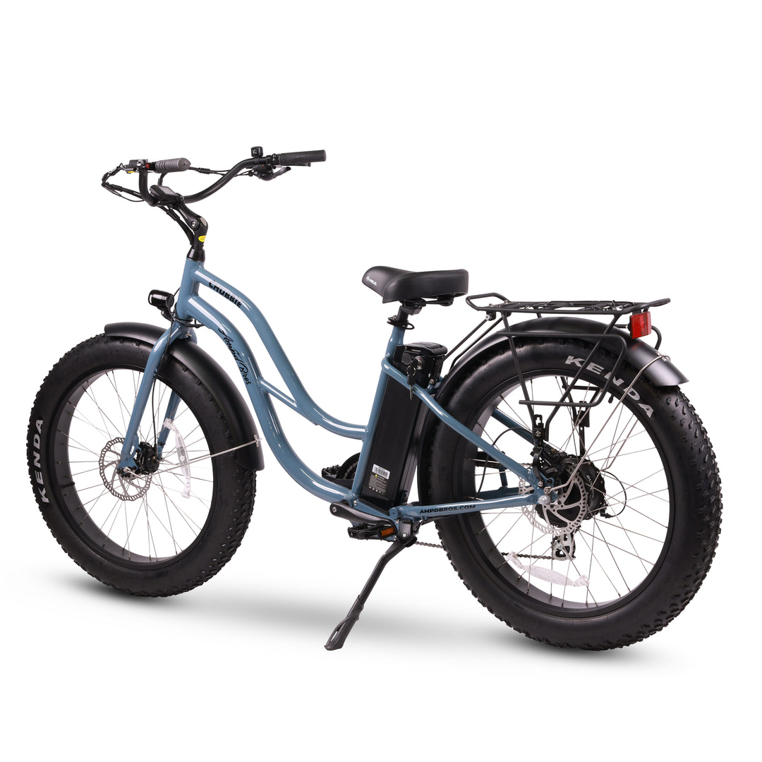 CHUBBIE-S Electric Beach Cruiser Bike