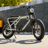 ACE-X Plus+ Electric Bike