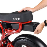 ACE Electric Bike 48V Samsung Li-ion Battery